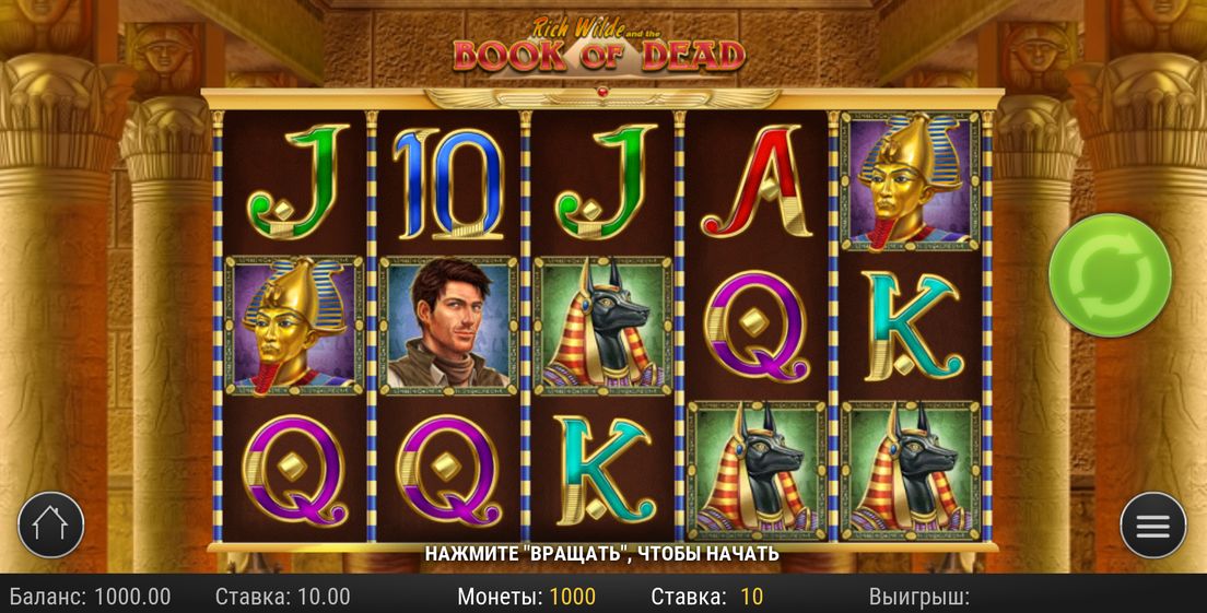 Book of Dead slot at Royal Reels